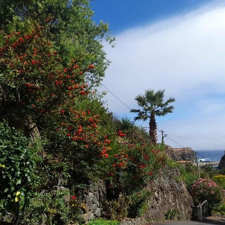 Paraiso Resiliente Santana  Ngoại thất bức ảnh