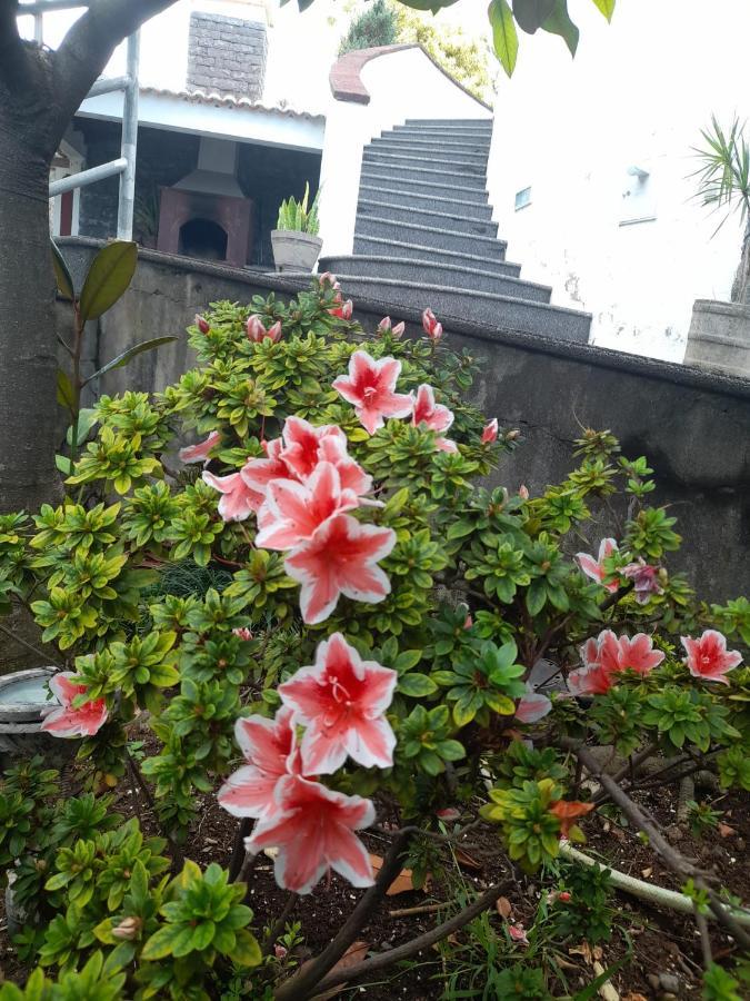 Paraiso Resiliente Santana  Ngoại thất bức ảnh